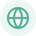 Globe icon